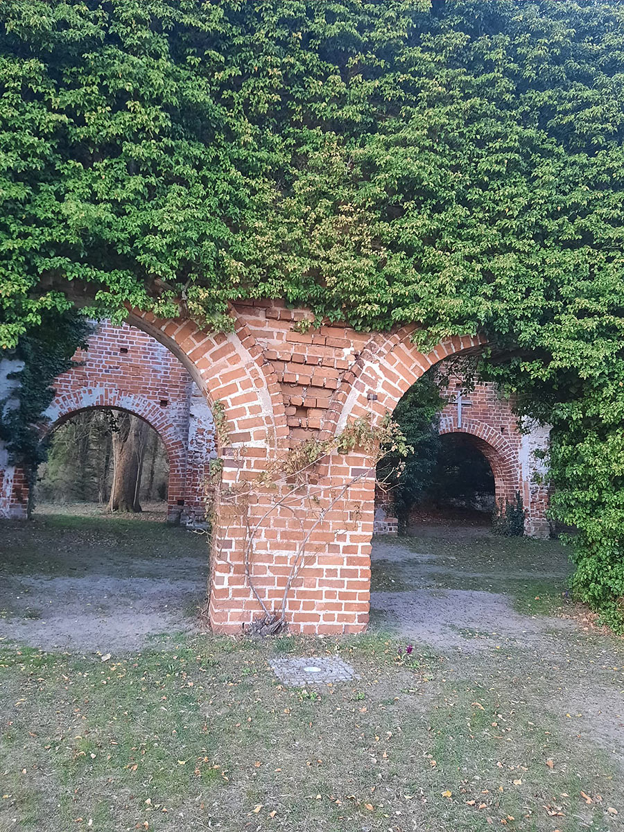 Bild-4-HPT
