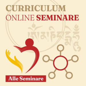 Onlineseminare 2025/2026 (3 Onlineseminare)